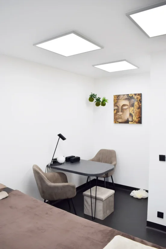 Medea VR LED 60 cm 55 W stříbrná/elox ⇊