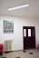 Medea OP LED 144 cm 66 W bílá ⇊