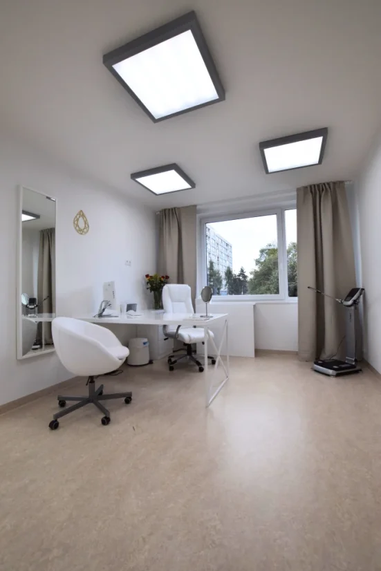 Pompa zář. 63 cm 96 W stříbrná ⇊