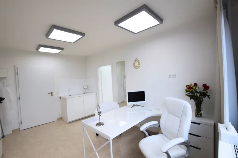 Pompa zář. 63 cm 96 W stříbrná ⇊